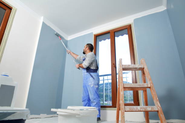 Best Mold Damage Restoration  in Glandorf, OH