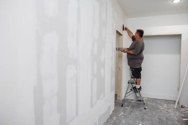 Best Mold Remediation for Healthcare Facilities  in Glandorf, OH