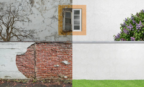 Best Black Mold Removal  in Glandorf, OH