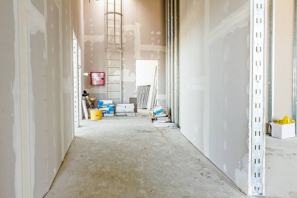 Best Basement Mold Removal  in Glandorf, OH