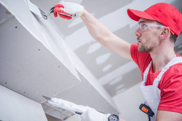 Best Real Estate Mold Inspection  in Glandorf, OH