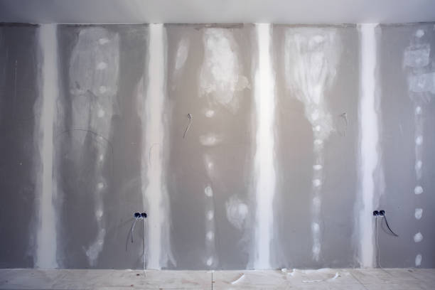Best Water Damage & Mold Remediation  in Glandorf, OH